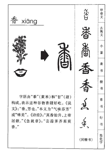 香字五行|香字的寓意和象征